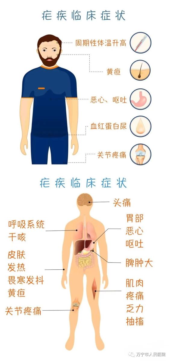 铁盘神算4778